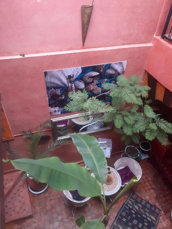 Riad Hanafi Marakéš Exteriér fotografie