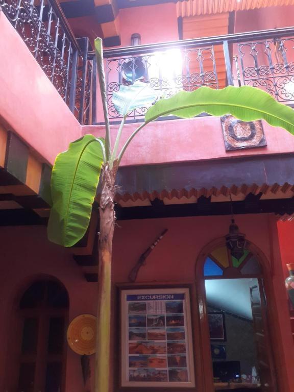 Riad Hanafi Marakéš Exteriér fotografie